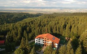 Mountain-Rest Pension